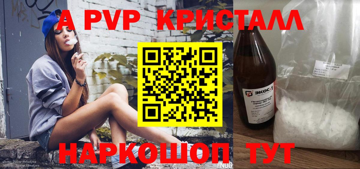 Альфа ПВП СК КРИС Моздок