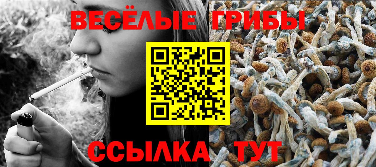 Канабис  ЭКСТАЗИ  Вход с VPN  Моздок  Героин  Мефедрон   Гашиш  КОКАИН 