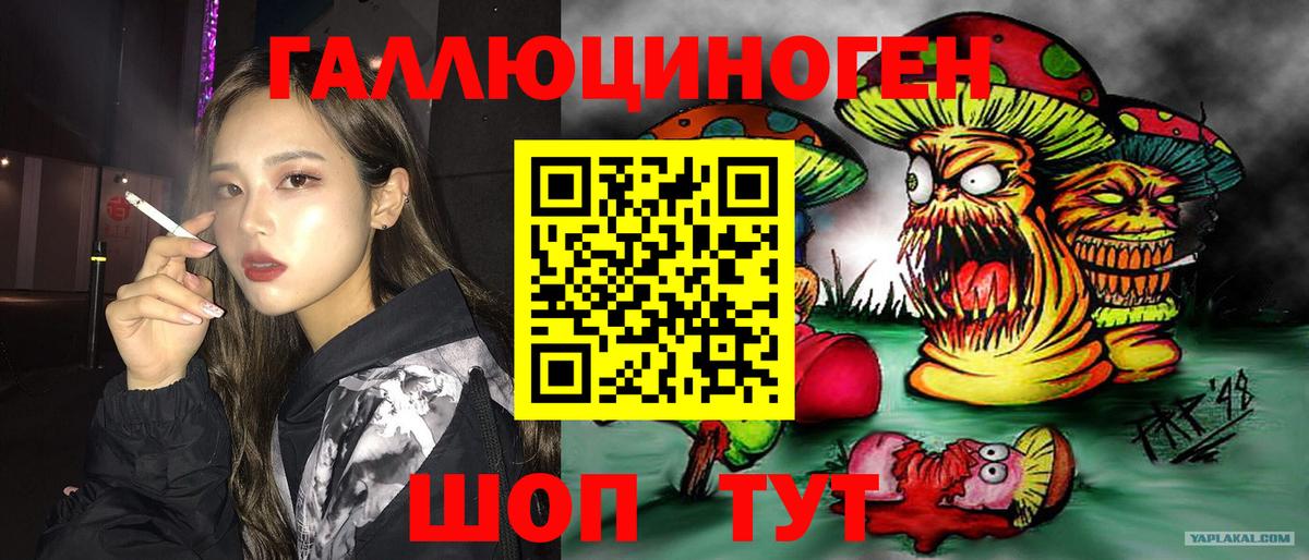 Псилоцибиновые грибы прущие грибы  Вход с VPN  Моздок  Псилоцибиновые грибы Psilocybine cubensis 