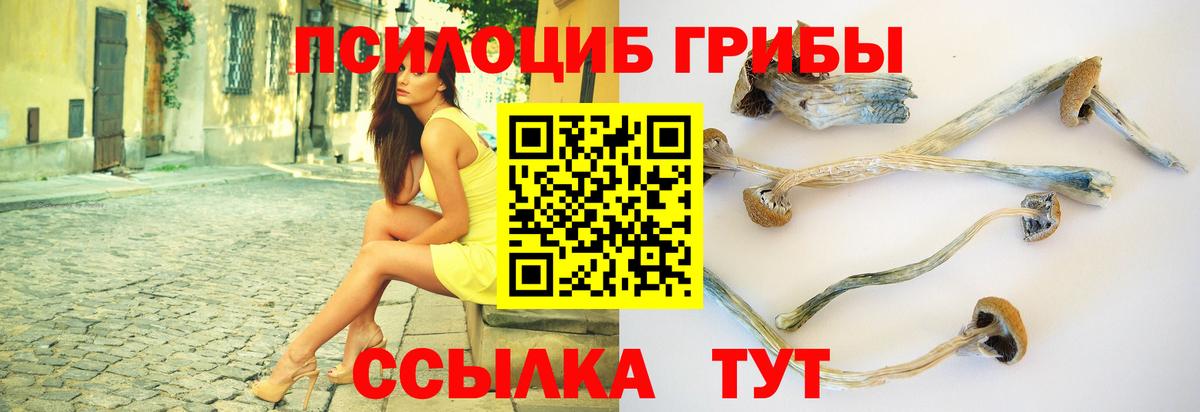 Псилоцибиновые грибы мухоморы Моздок